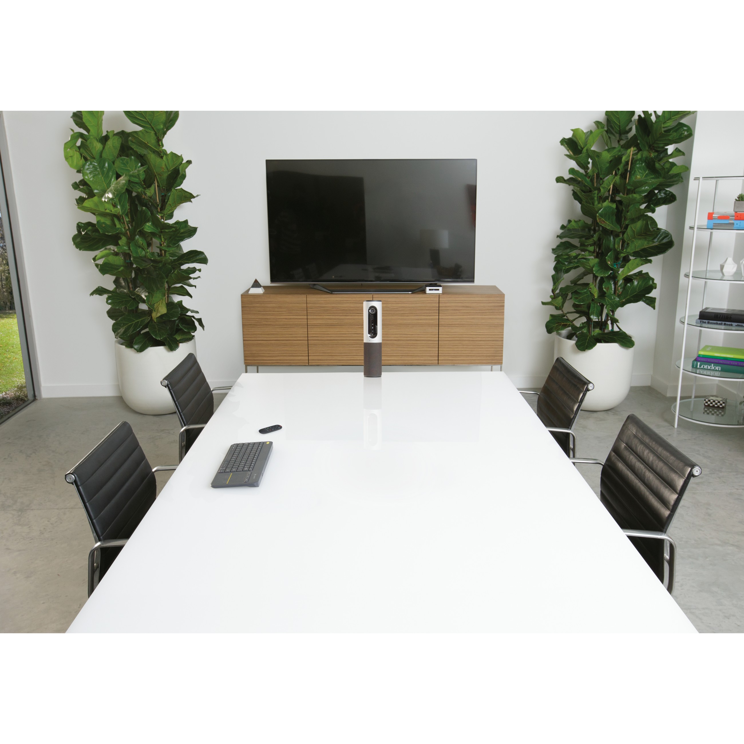 Logitech ConferenceCam Connect black/silver