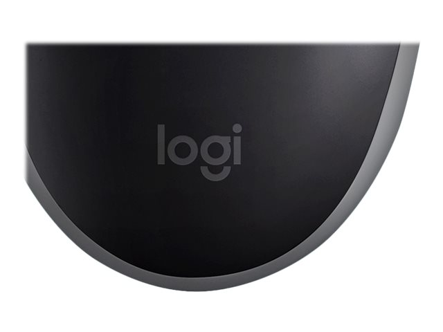 Logitech USB Mouse B110 black