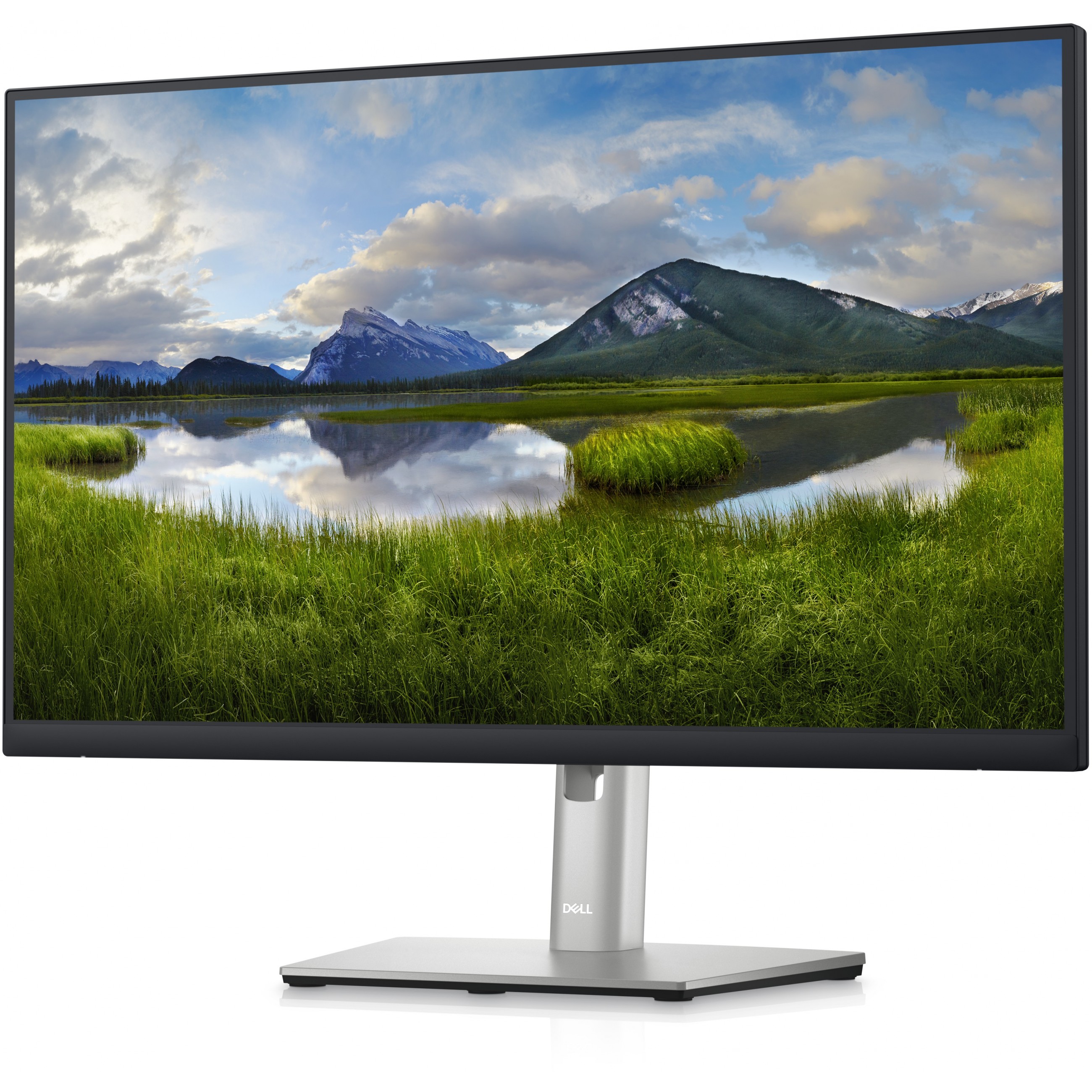 DELL P Series P2423DE computer monitor