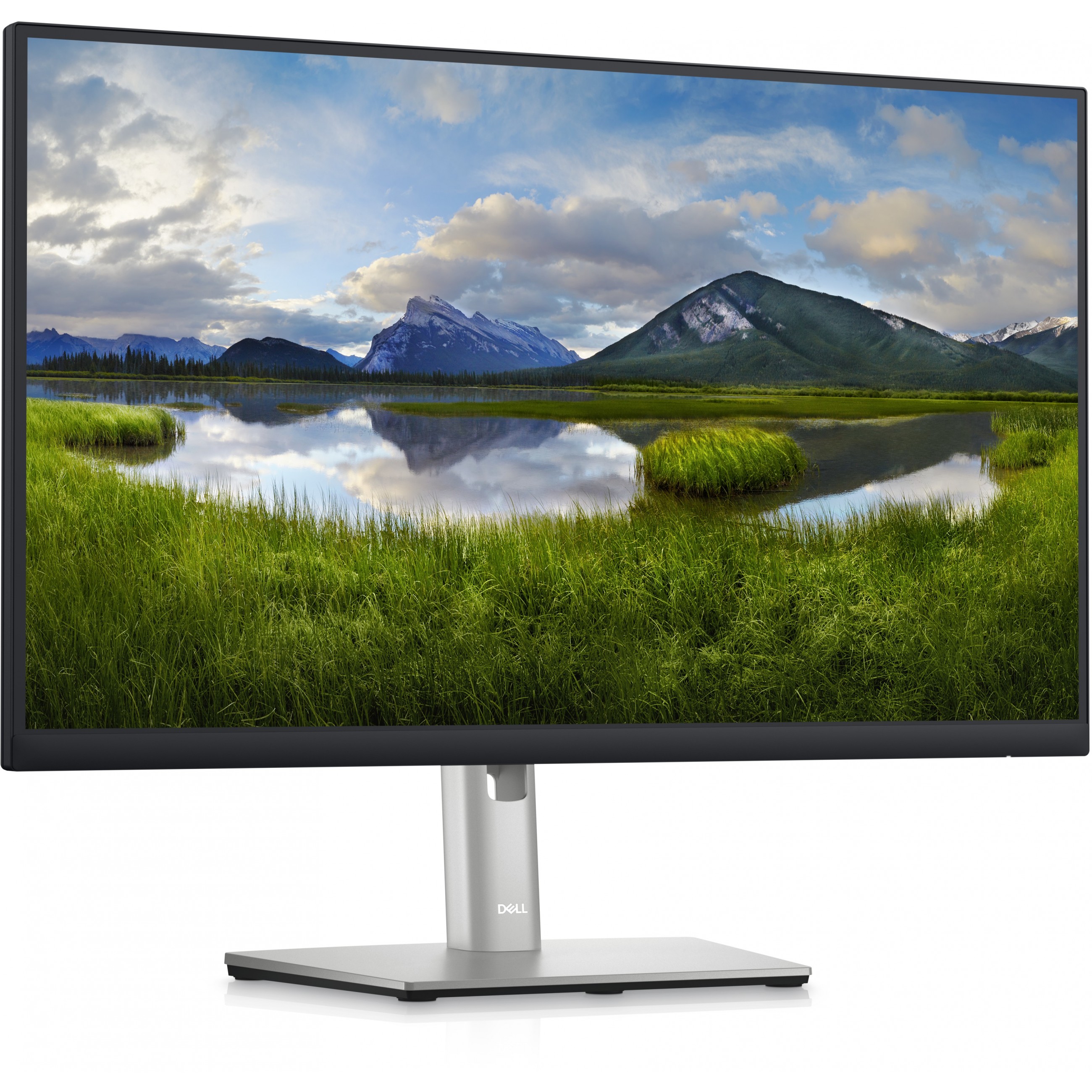DELL P Series P2423DE computer monitor