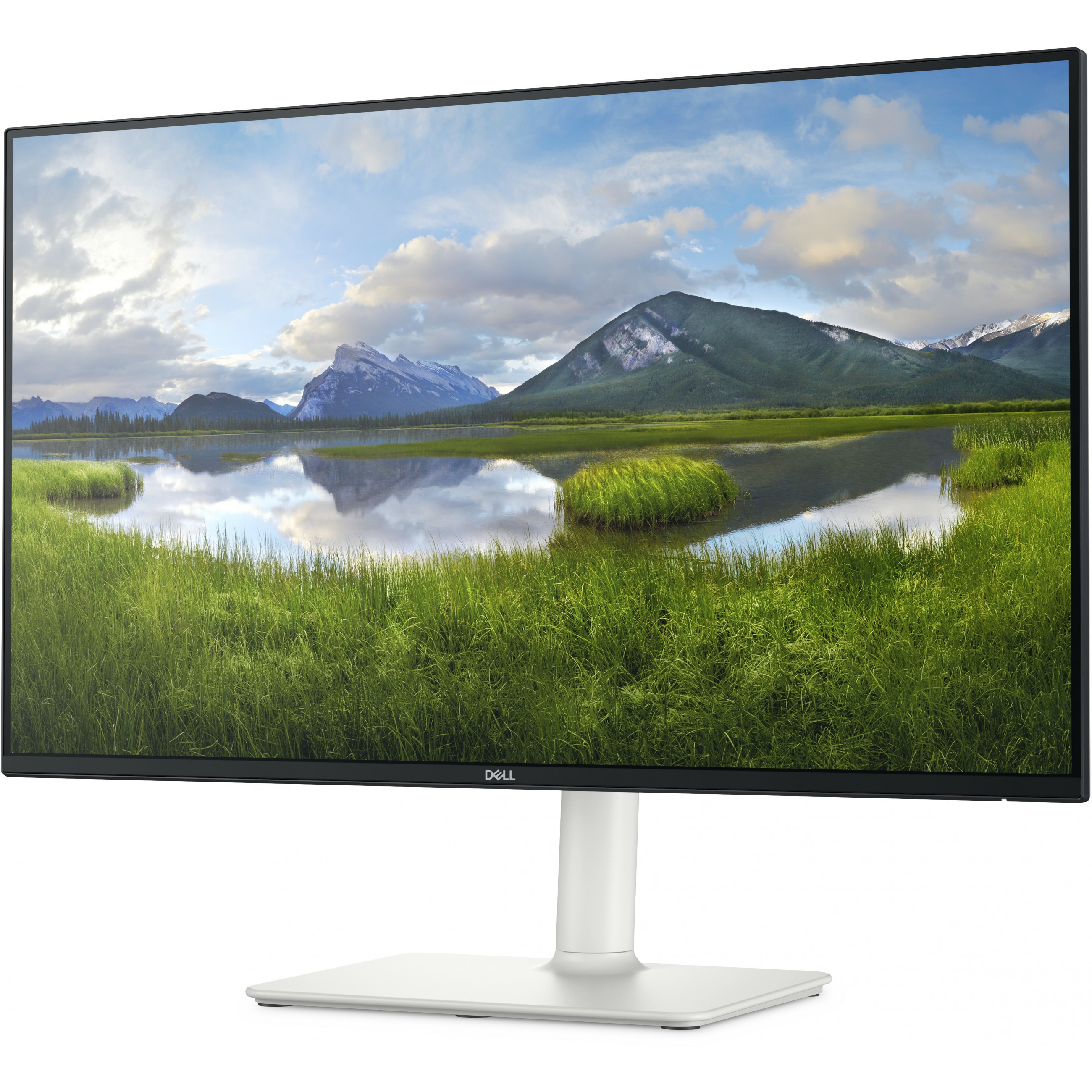 DELL 24 Monitor S2425HS 60,45cm 23,8Zoll