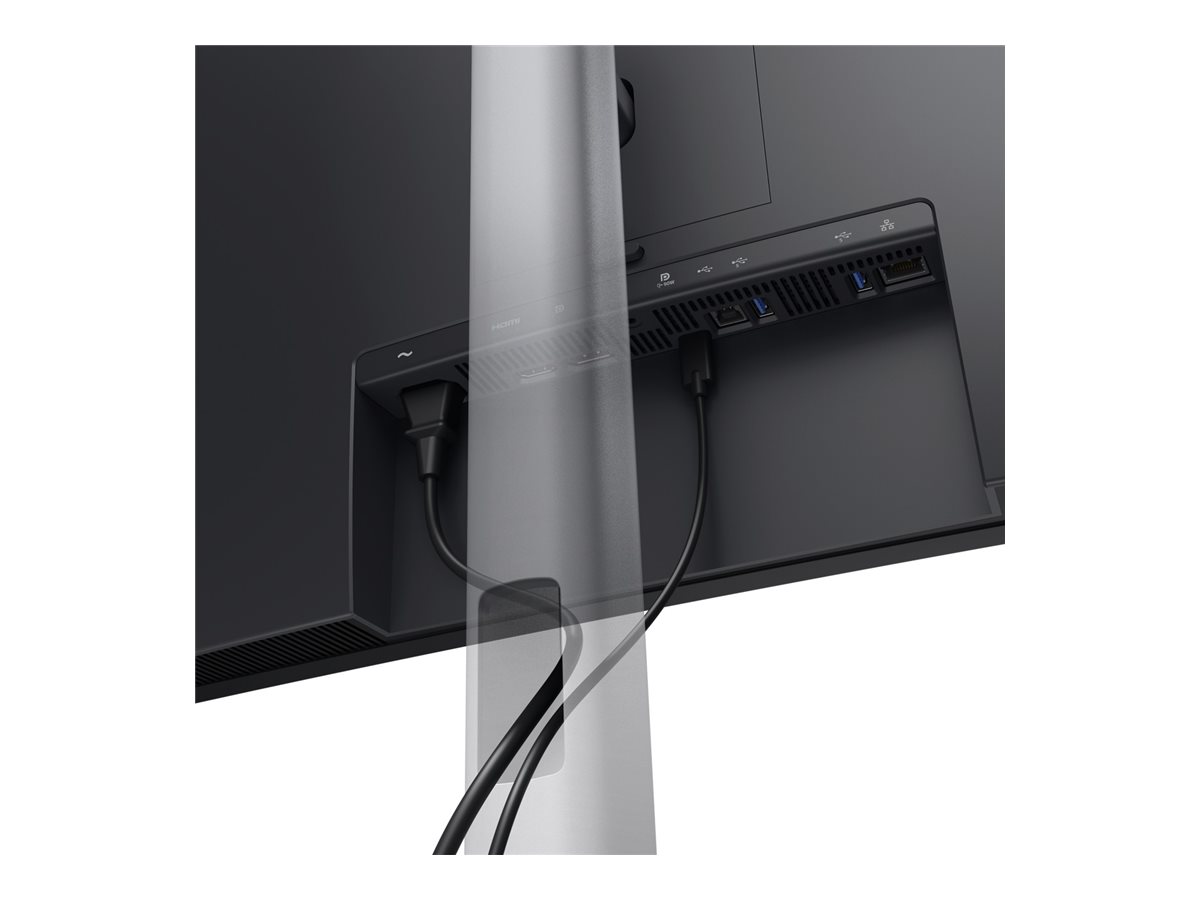 DELL Pro P 34 USB-C Hub Monitor P3426WEB