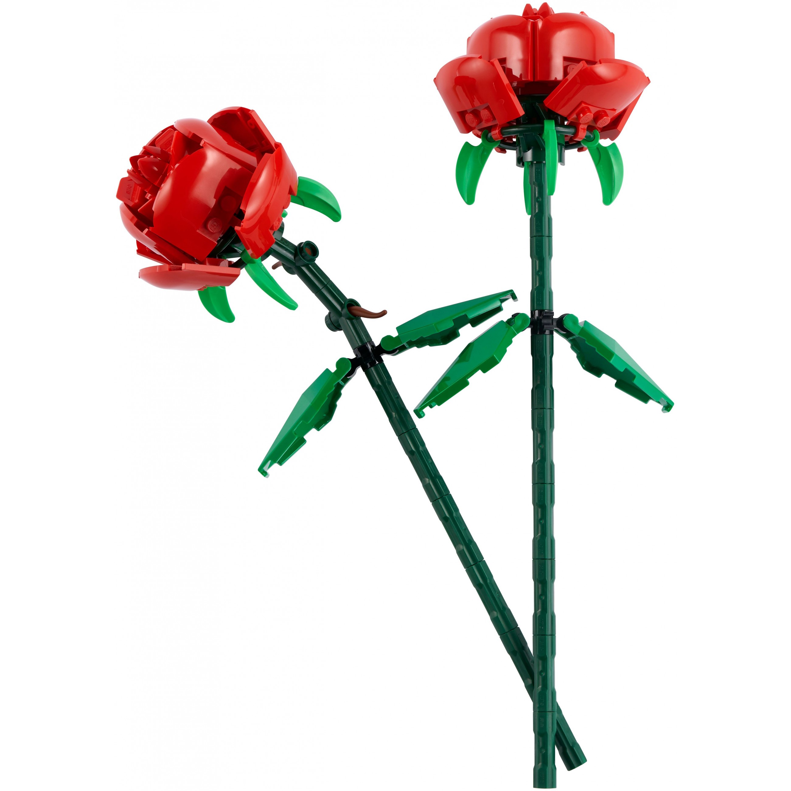 LEGO Botanicals 40460 building toy