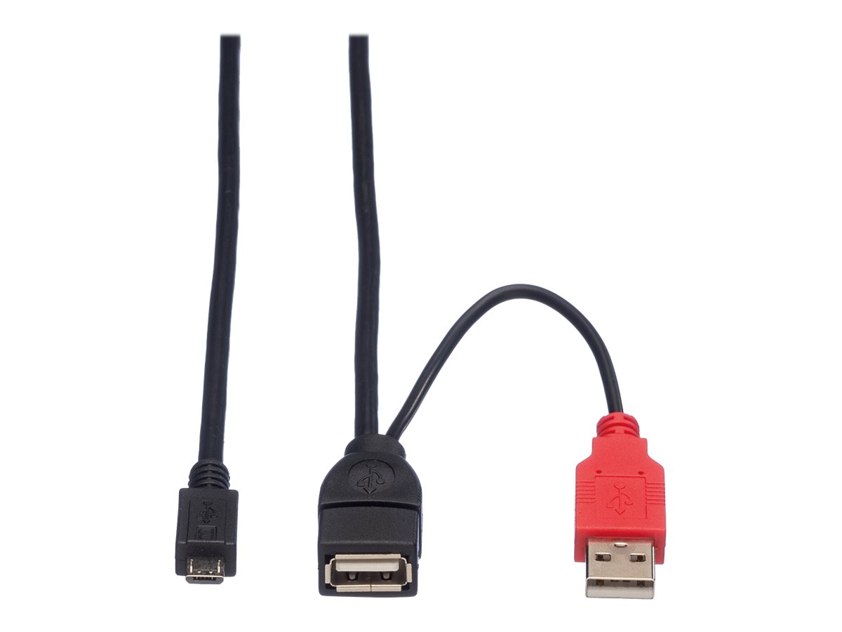 ROLINE USB 2.0 Y-Kabel, 2x Typ A (ST / BU) - Micro B ST, 1m