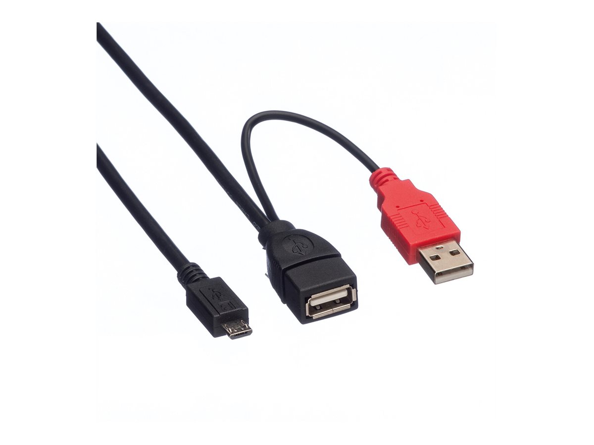ROLINE USB 2.0 Y-Kabel, 2x Typ A (ST / BU) - Micro B ST, 1m