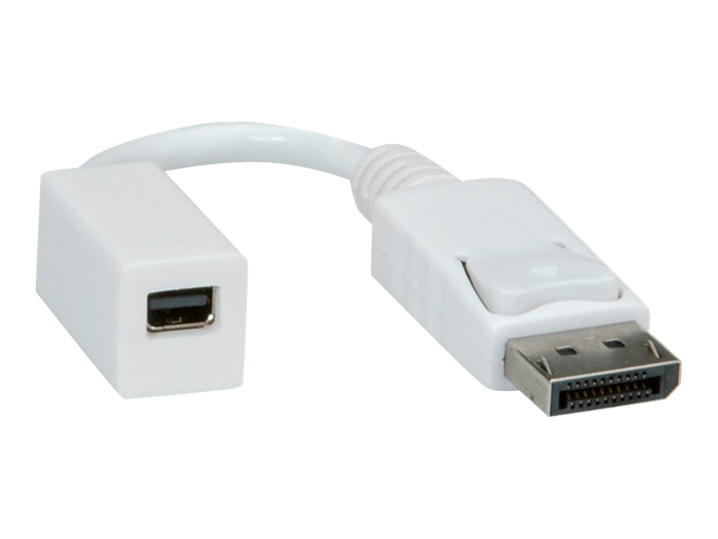 ROLINE DisplayPort Adapter, DP Stecker - Mini DP Buchse