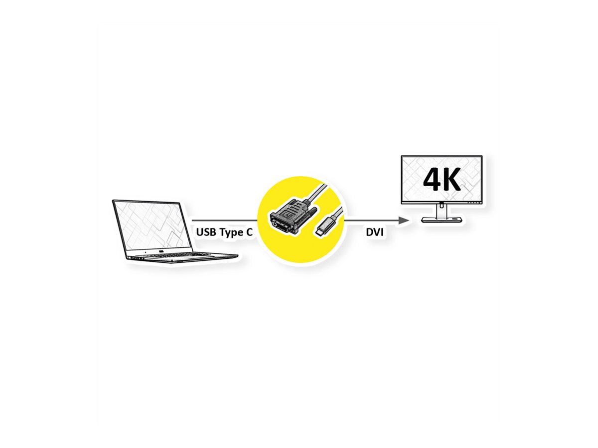 ROLINE USB Typ C - DVI Adapterkabel, ST/ST, 2 m