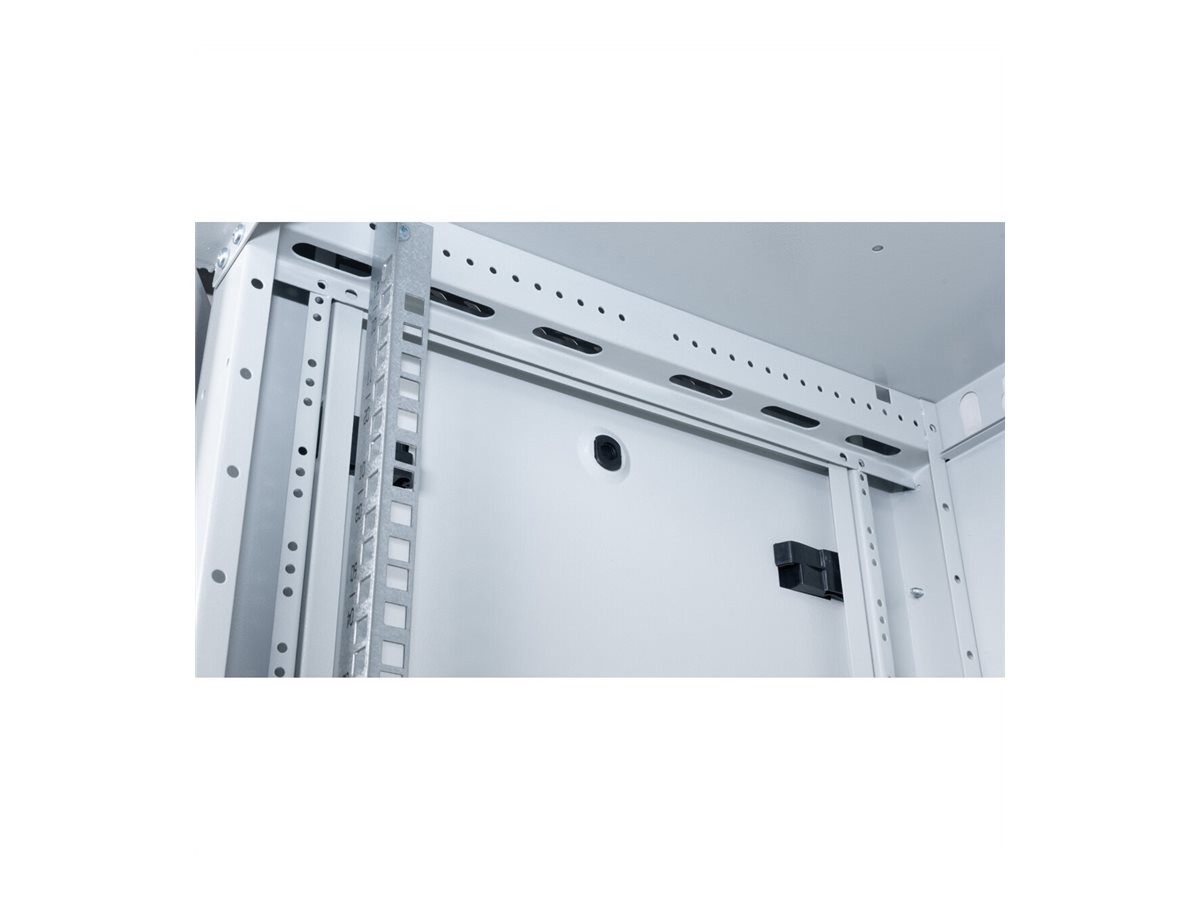 ROLINE 19-Zoll Wandgehäuse Basic Plus 12HE, 600x450 BxT grau