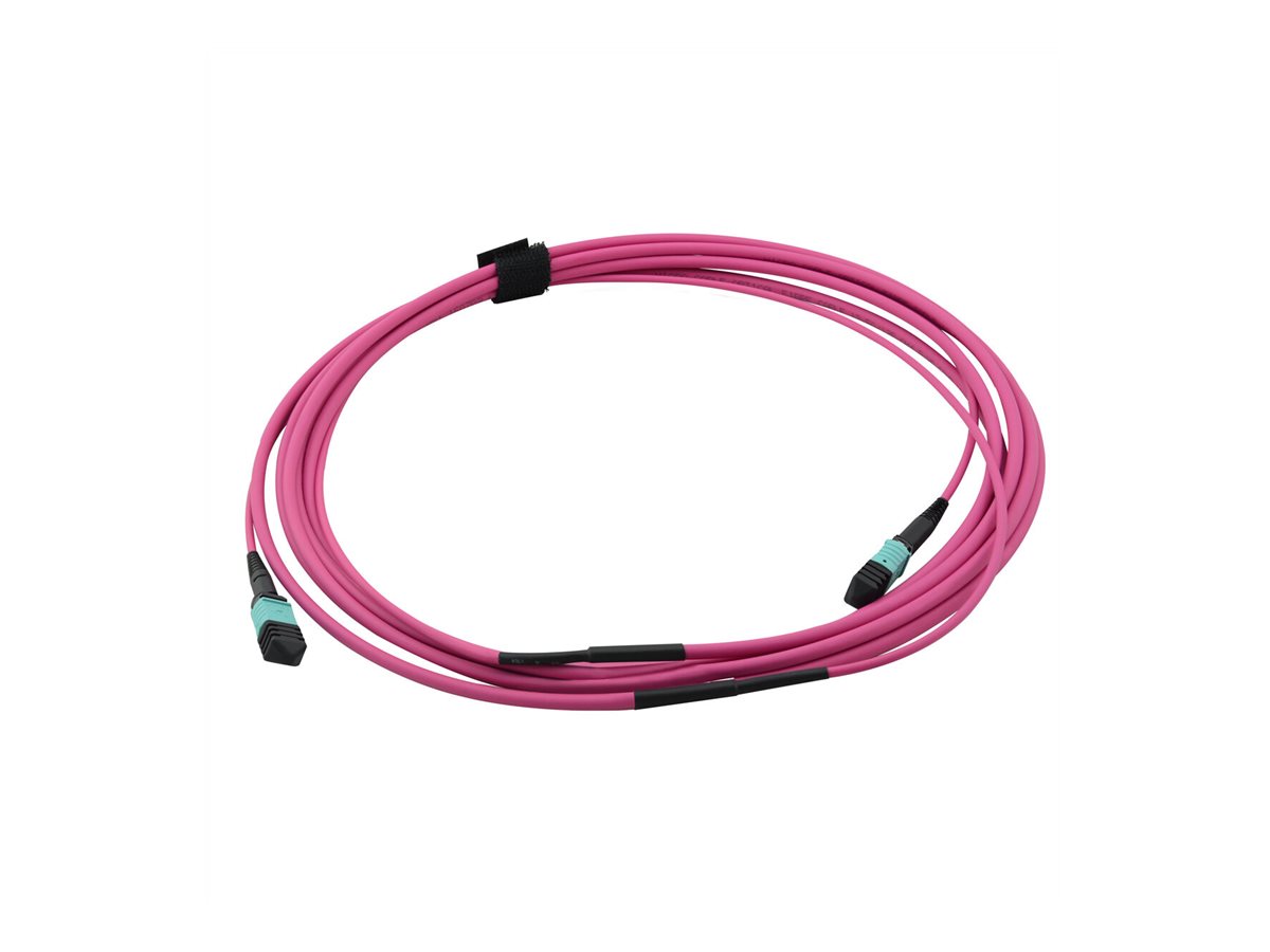 VALUE MPO-Trunk-Kabel 50/125µm OM4, MPO/MPO, TYPE A, violett, 3 m