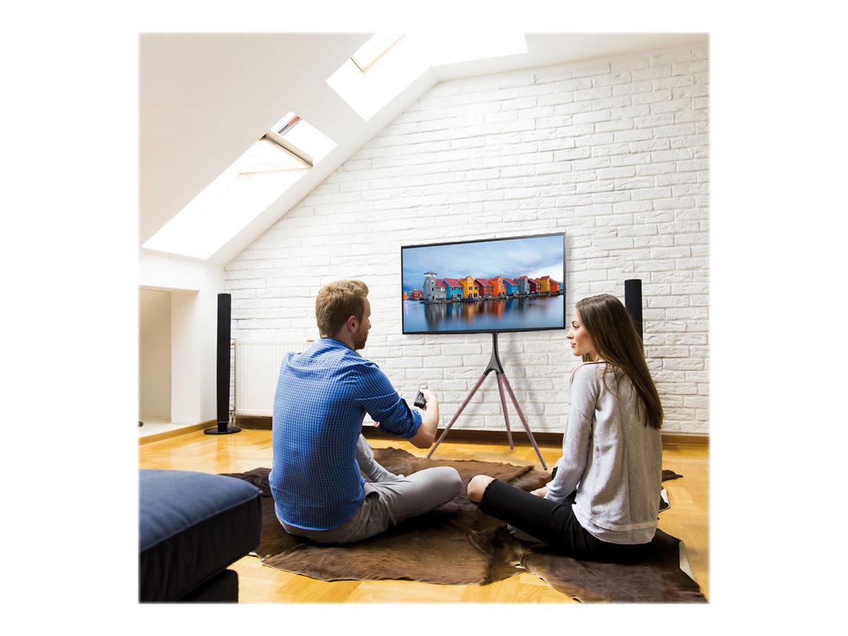 TECHLY TV Wagen 114-165cm