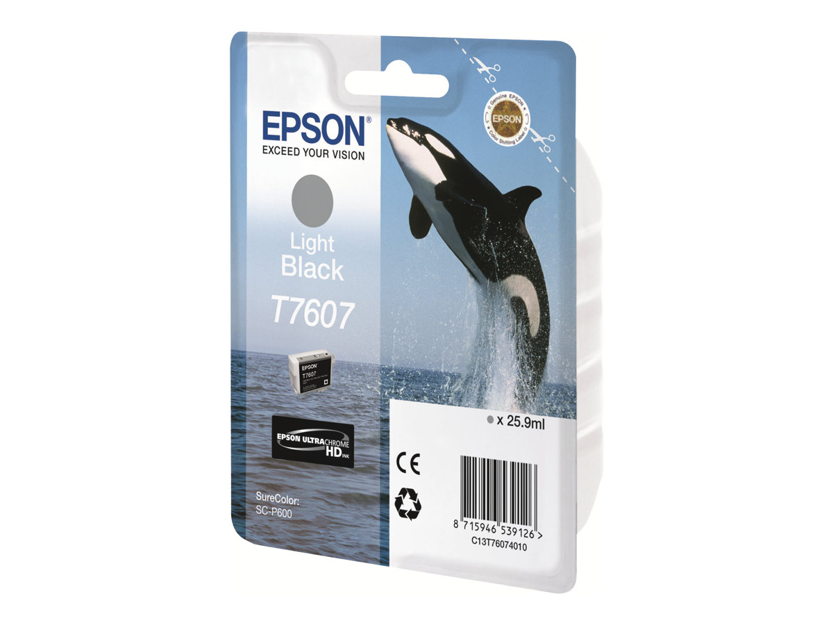 EPSON 5LB T7607 ink cartridge light