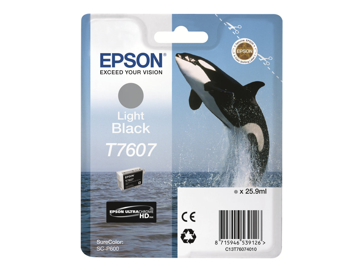 EPSON 5LB T7607 ink cartridge light