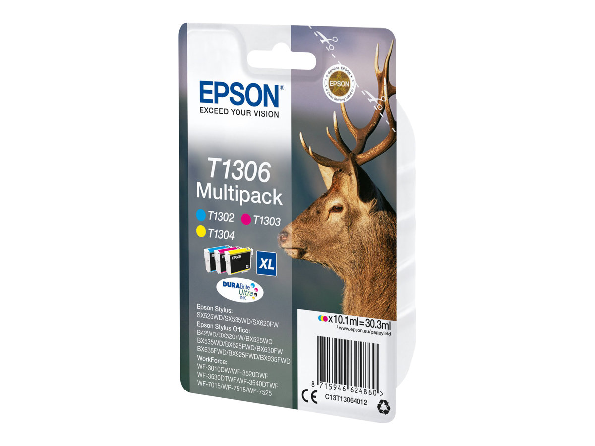 EPSON 1LB T1306multipack