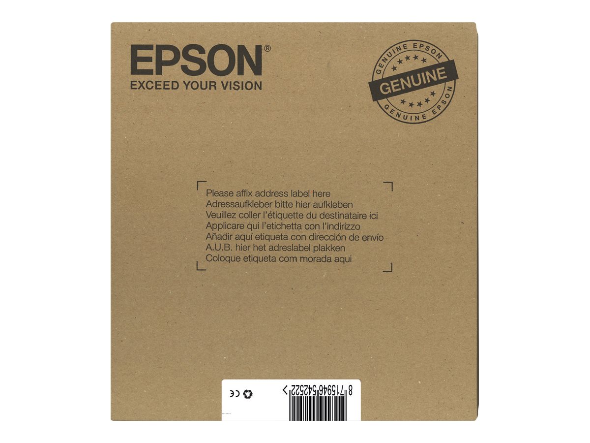 EPSON 2LB EasyMail T071 Cheetah