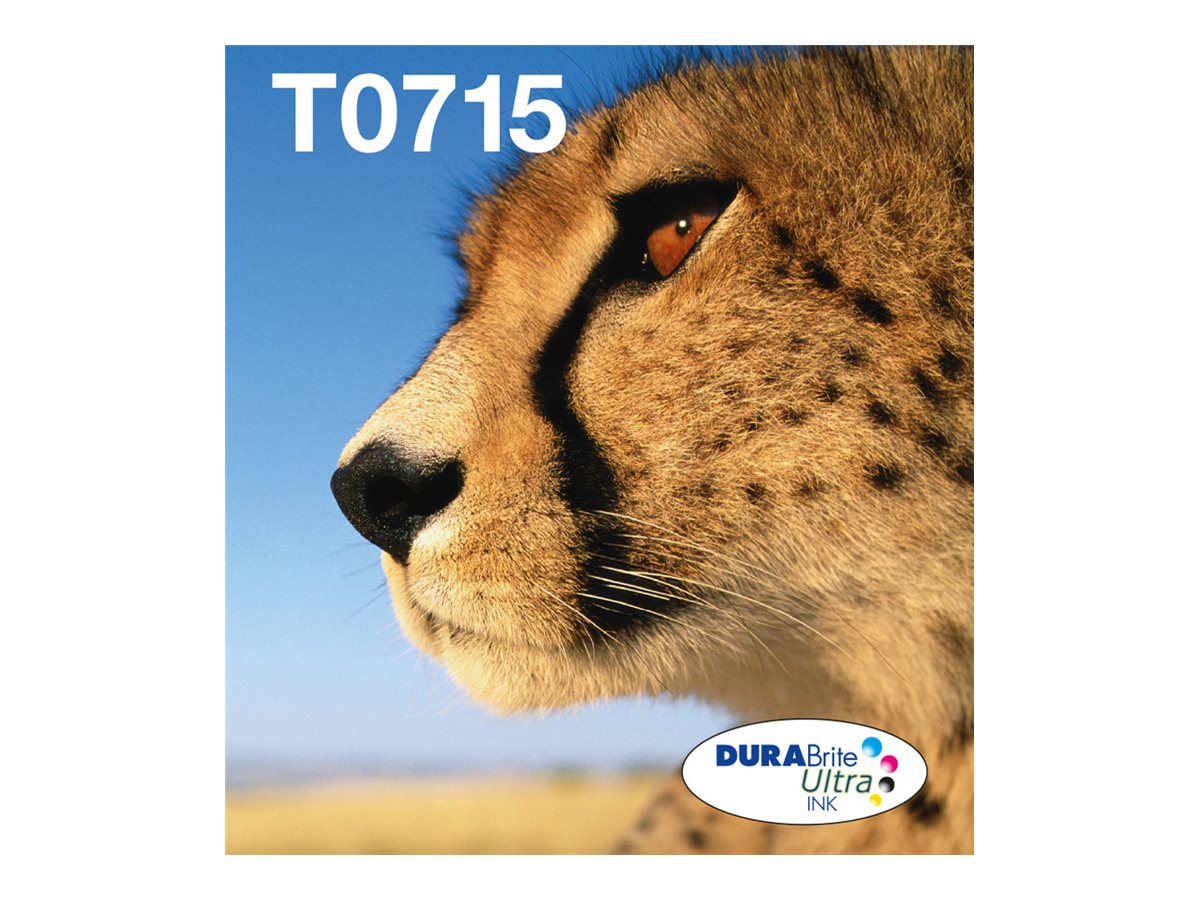EPSON 2LB EasyMail T071 Cheetah