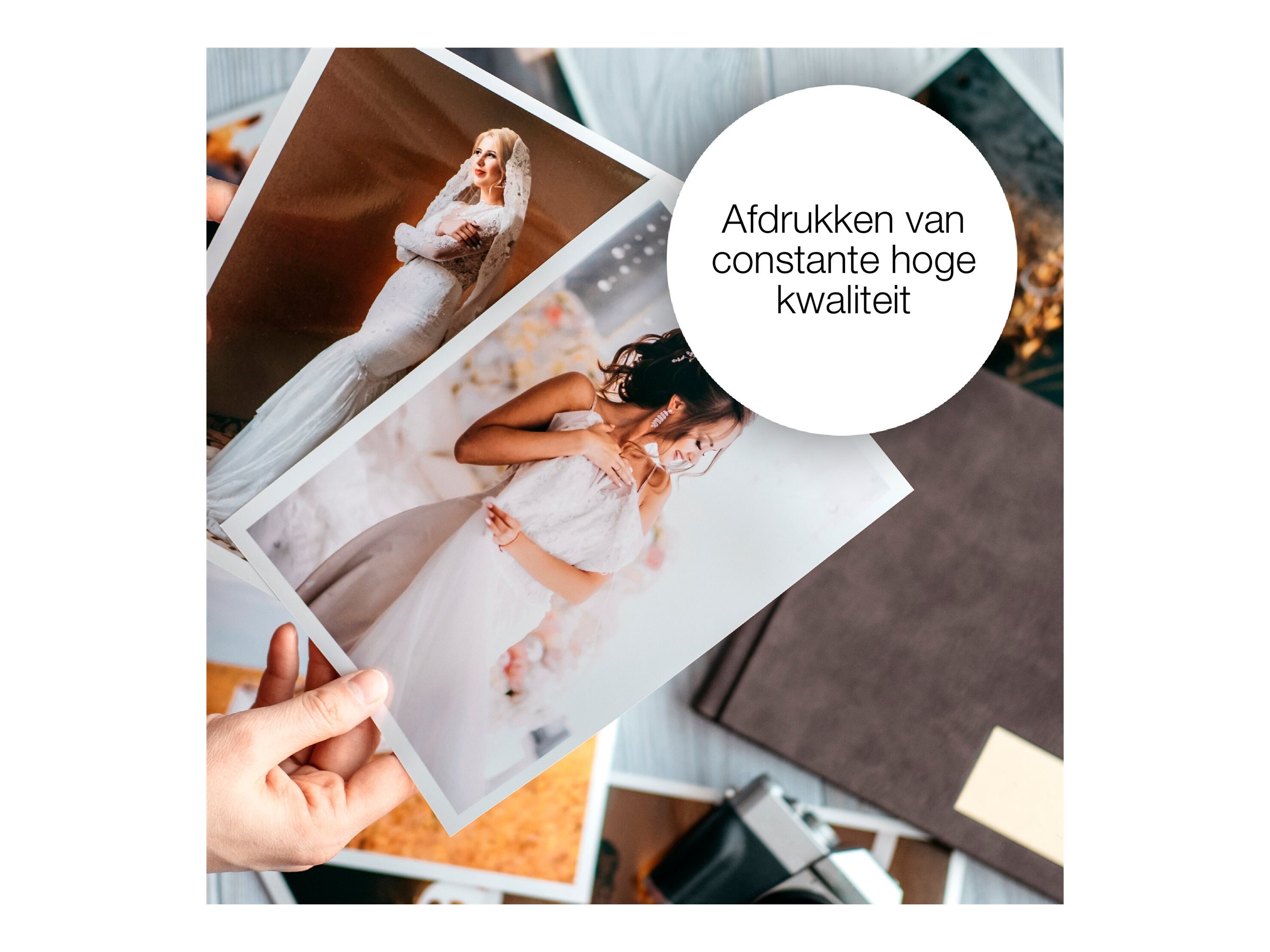 Patrone Epson 603 4er-Pack black + color XL            T03A6