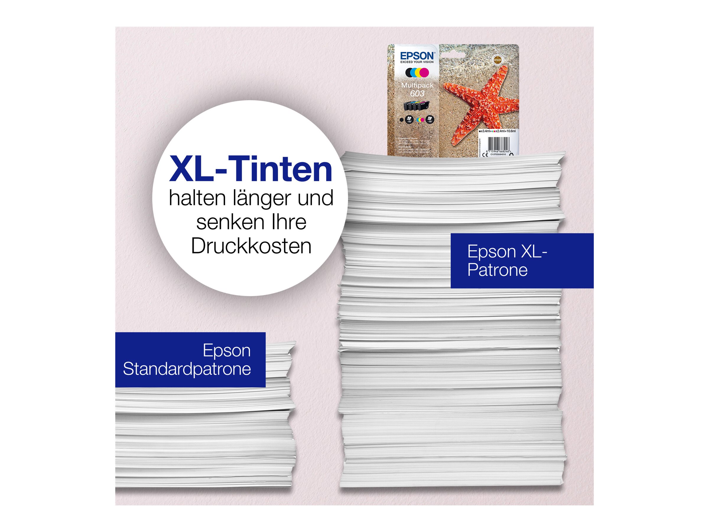 EPSON 1LB Multipack 4-colours 603 w/s