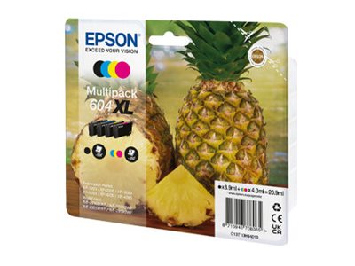 EPSON 1LB Multipack 4colours 604XL