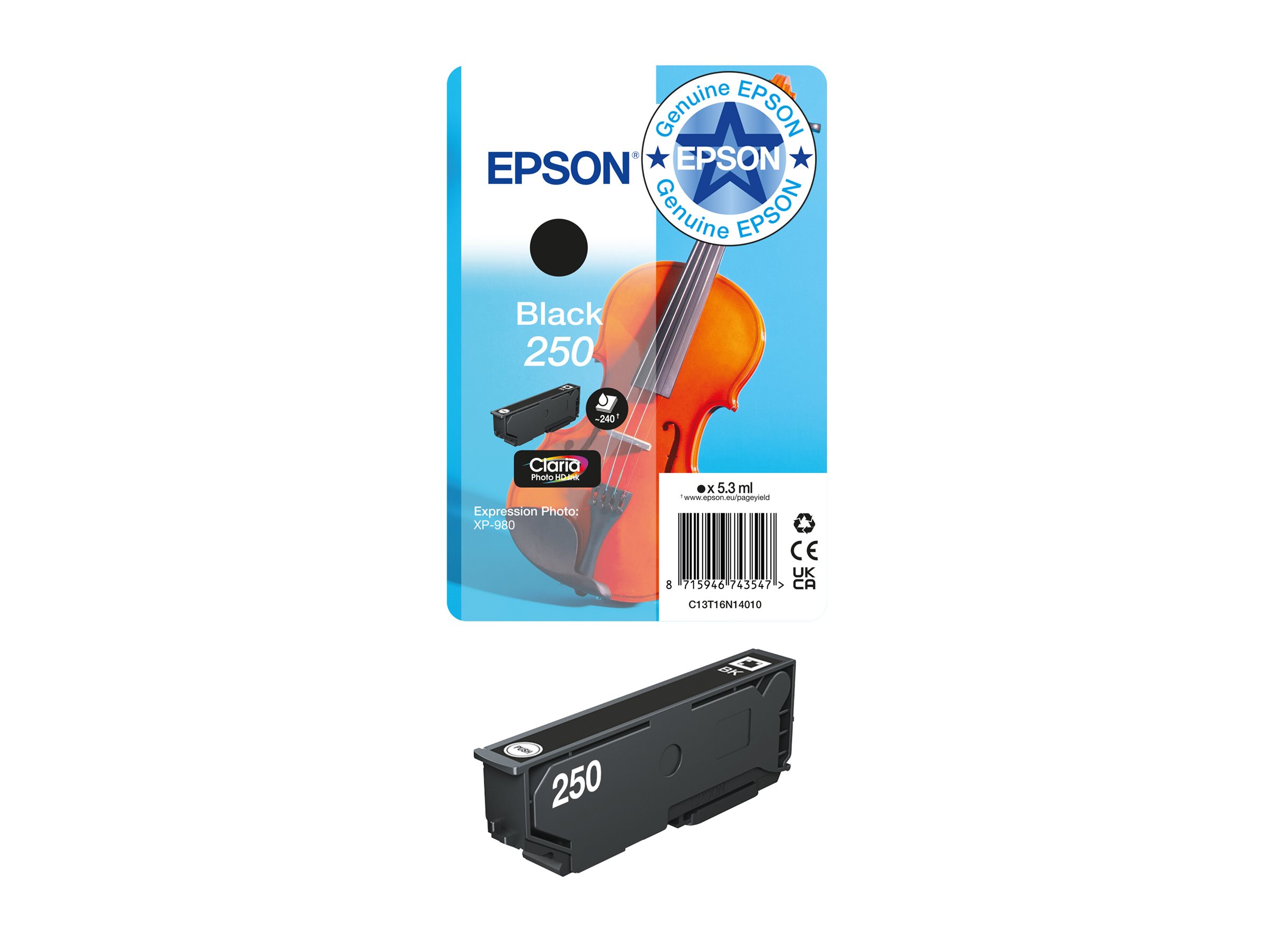 EPSON Singlepack Black 250 ink
