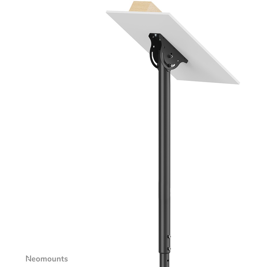 NEOMOUNTS Flat Screen Ceiling Mount