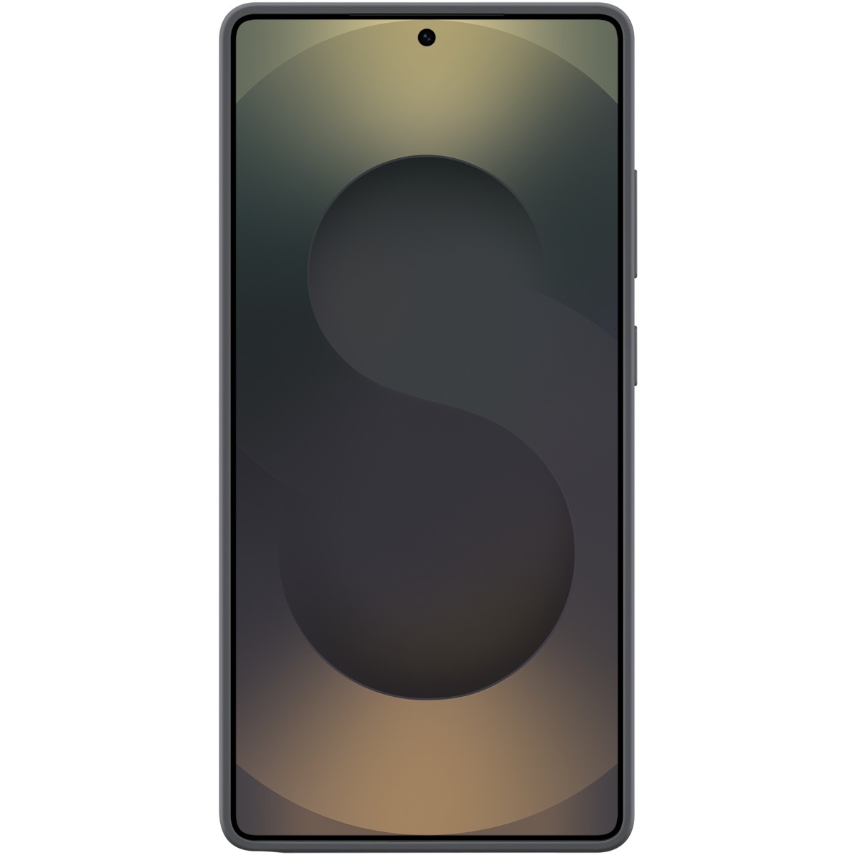 SAMSUNG Silicone Case Galaxy S25 Ultra B