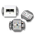 Datendose2xRJ45,RAL1013embedded - Nr. 