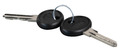 Ersatzschlssel fr Wandgehuse IP55 & 3+5HE, 2 Stck