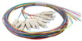 INFRALAN Faserpigtail SC 9/125 OS2,12-farbiger Satz, 2m