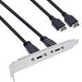 InLine® Slotblende 2x USB-C zu USB 3.2 Frontpanel Key-A intern, 0,5m