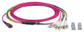 MTP©(F)-LC Trunkkabel OM4 8 Fasern -- Typ B LSZH erika-violett 10m 