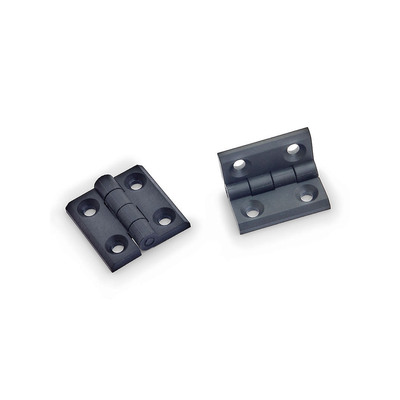 8595105026618 - Triton RAX-MS-X14-X1 Türscharnier für 2-teilige Wandgehäuse 8595105026618 - Triton RAX-MS-X14-X1 Türscharnier für 2-teilige Wandgehäuse