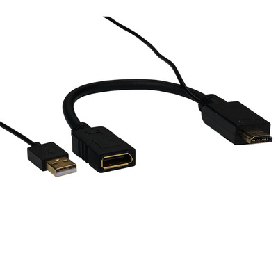4049759268381 - HDMI DisplyPort Konverterkabel 4K60Hz --