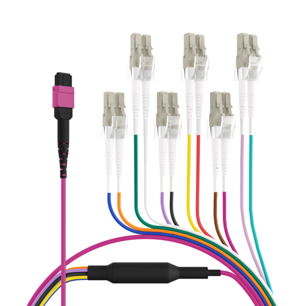 MPO-PLUS®(F)-LC Trunkkabel OM4 12 Fasern, Typ B LSZH erika-violett 3m