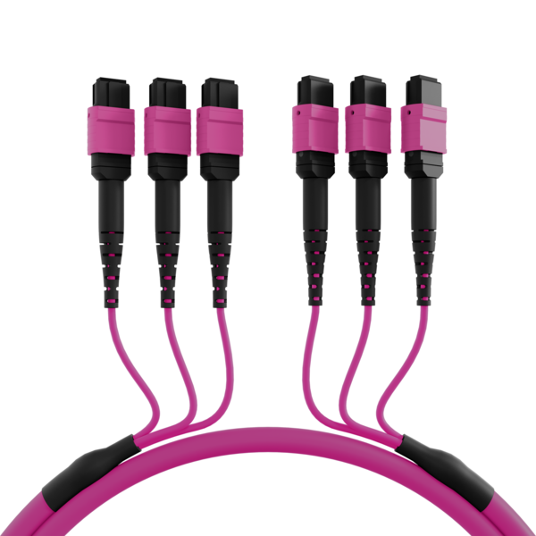 4049759237332 - MTP®(F)-MTP®(F) Patchkabel OM4 48 Fasern -- Typ A LSZH erika-violett 15m