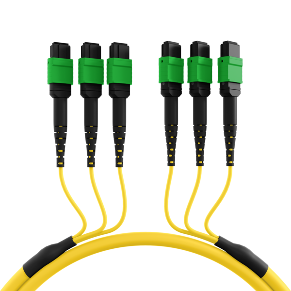 4049759237387 - MTP® APC(F)-MTP® APC(F) Patchkabel OS2 48 Fasern -- Typ A LSZH gelb 10m