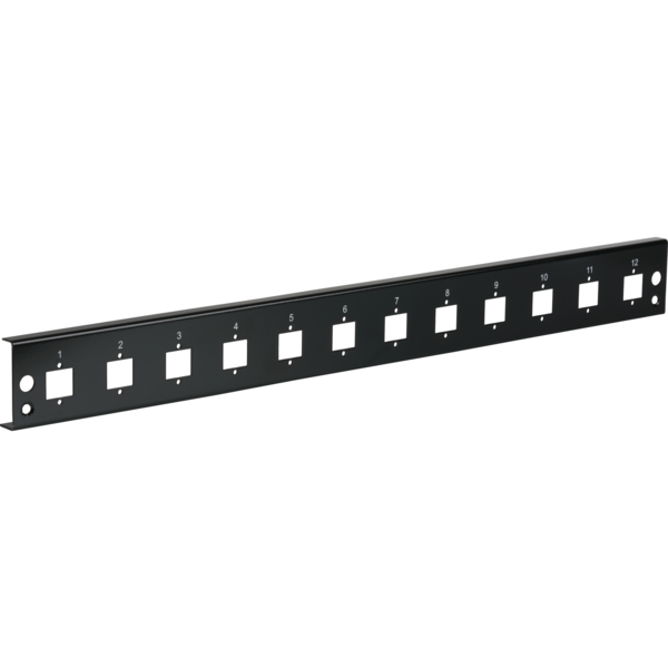 Frontblende 12xE2000®Duplex, E2000®, Compact (RDM) gerade Vers. sw