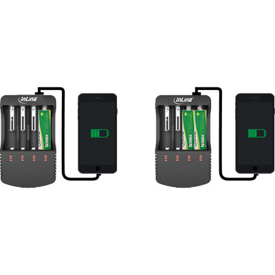 InLine® Ladegerät für Lithium und NiCd+NiMH (Produktbild 2)