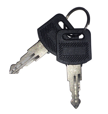 Ersatzschlssel fr Standschrnke IP55, 2 Stck, 102115.4 (Produktbild 1)