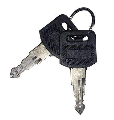 Ersatzschlüssel für Standschränke IP55, 2 Stück, 102115.4 (Produktbild 1)