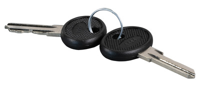Ersatzschlssel fr Wandgehuse IP55 & 3+5HE, 2 Stck, 102115.2 (Produktbild 1)
