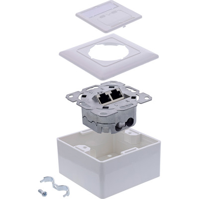 InLine® Cat.6A Netzwerkdose, 2x RJ45, AP/UP, geschirmt, weiß, 76842A (Produktbild 2)