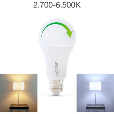 InLine® SmartHome LED Lampe RGB E27, 900LM (Produktbild 6)