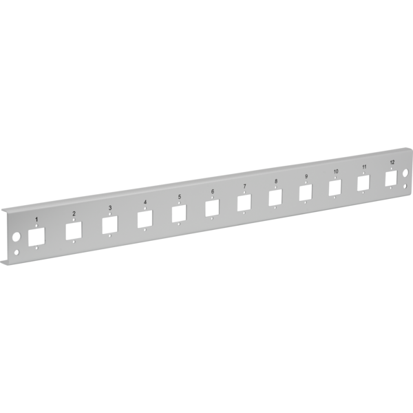 Frontblende 12xE2000®Duplex, E2000®, Compact (RDM) gerade Vers. gr Glasfaser Verteiler