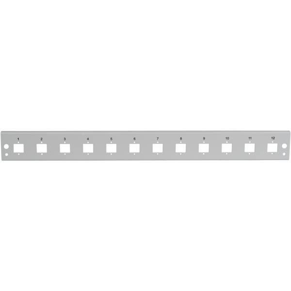 Frontblende 12xE2000®Duplex, E2000®, Compact (RDM) gerade Vers. gr
