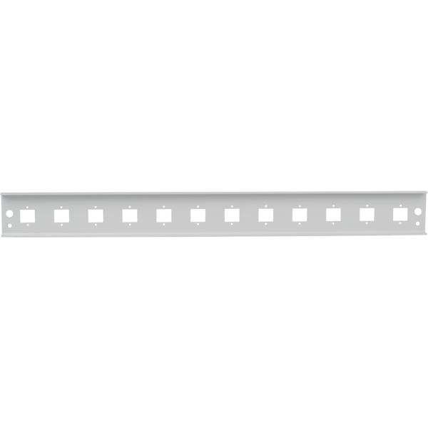 Frontblende 12xE2000®Duplex, E2000®, Compact (RDM) gerade Vers. gr