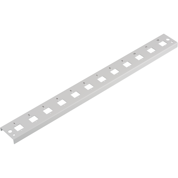 Frontblende 12xE2000®Duplex, E2000®, Compact (RDM) gerade Vers. gr