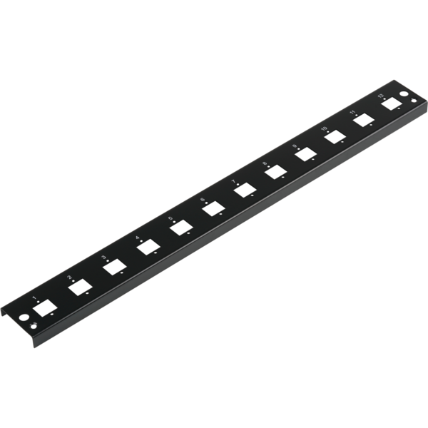 Frontblende 12xE2000®Duplex, E2000®, Compact (RDM) gerade Vers. sw