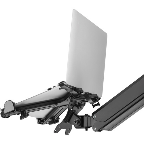 InLine® Notebook-Halterung bis 17 mit VESA 75/100 Montageplatte