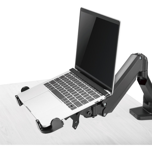 InLine® Notebook-Halterung bis 17 mit VESA 75/100 Montageplatte