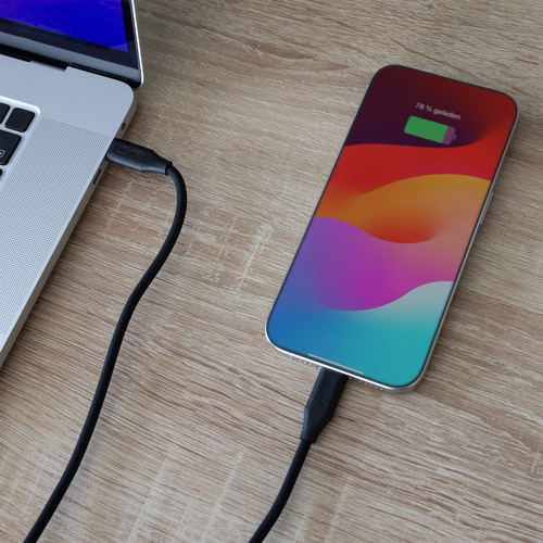 InLine® USB 2.0 Kabel, USB-C Schnellladekabel 100W, Black Cookie, schwarz 0,5m